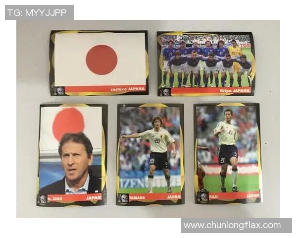 聚焦以塞黑足球球星成长历程与辉煌成就的深度解读